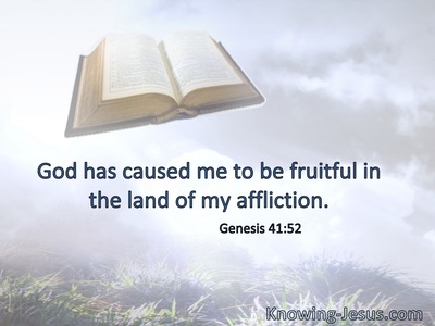 God has caused me to be fruitful in the land of my affliction.